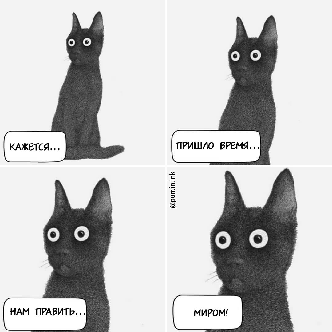 Cat comics by Luis Coelho - Comics, cat, Longpost, Purr in ink