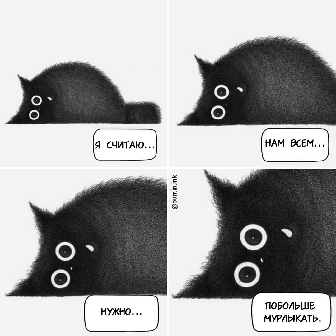 Cat comics by Luis Coelho - Comics, cat, Longpost, Purr in ink