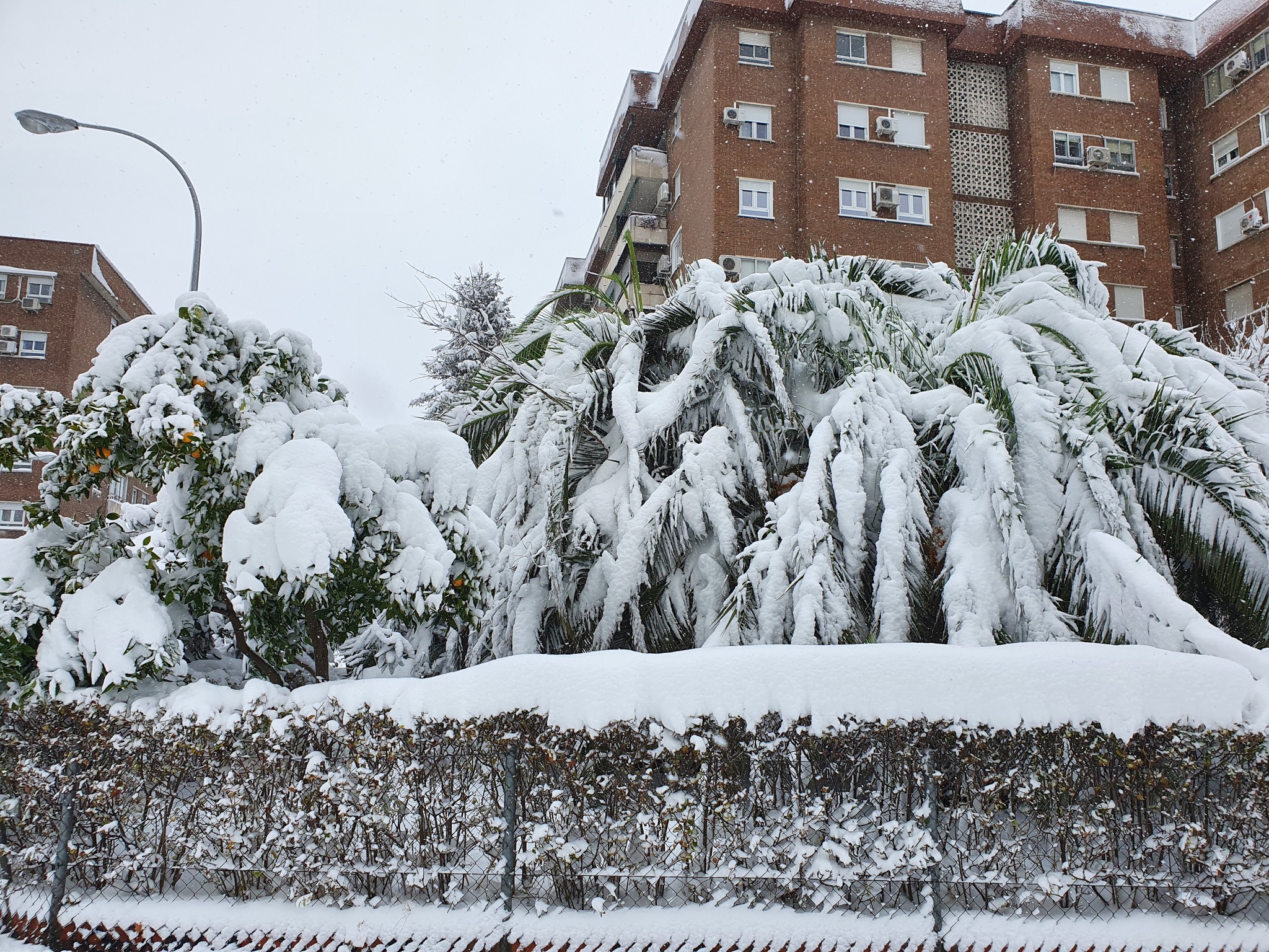 Snowfalls in Madrid - My, Madrid, Spain, Snow, Snowfall, Longpost