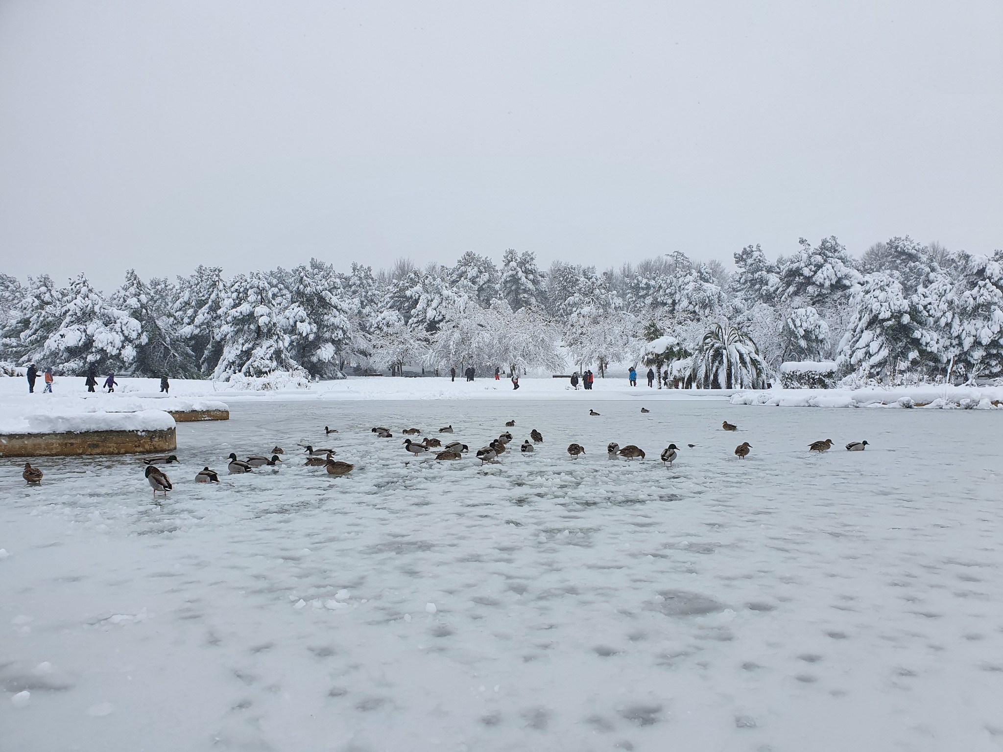 Snowfalls in Madrid - My, Madrid, Spain, Snow, Snowfall, Longpost