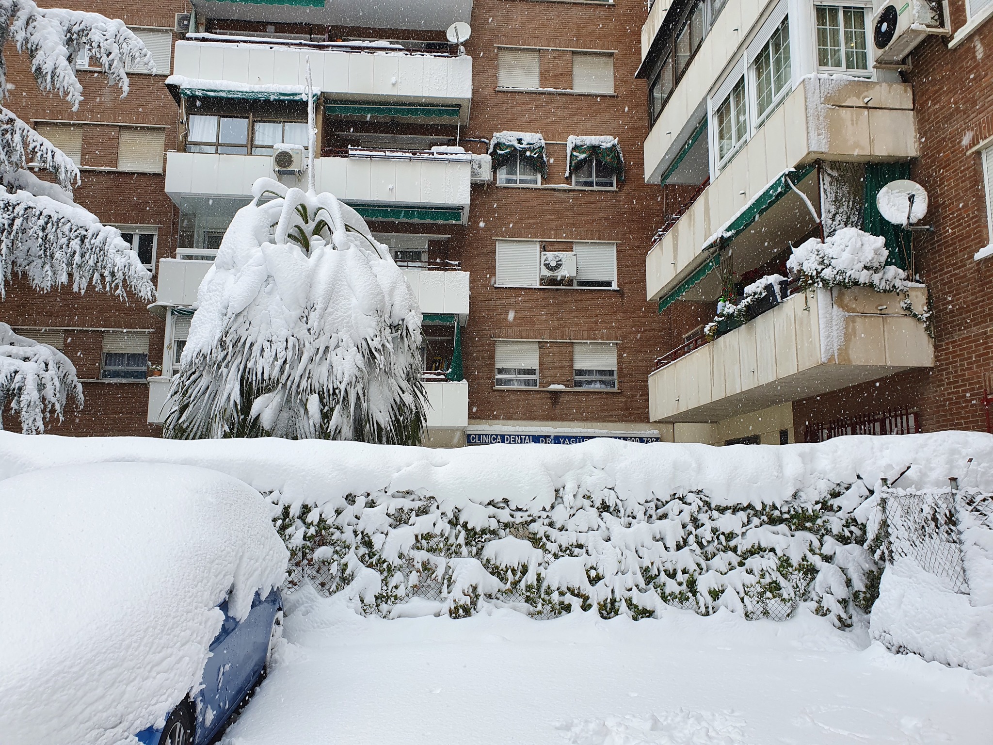 Snowfalls in Madrid - My, Madrid, Spain, Snow, Snowfall, Longpost