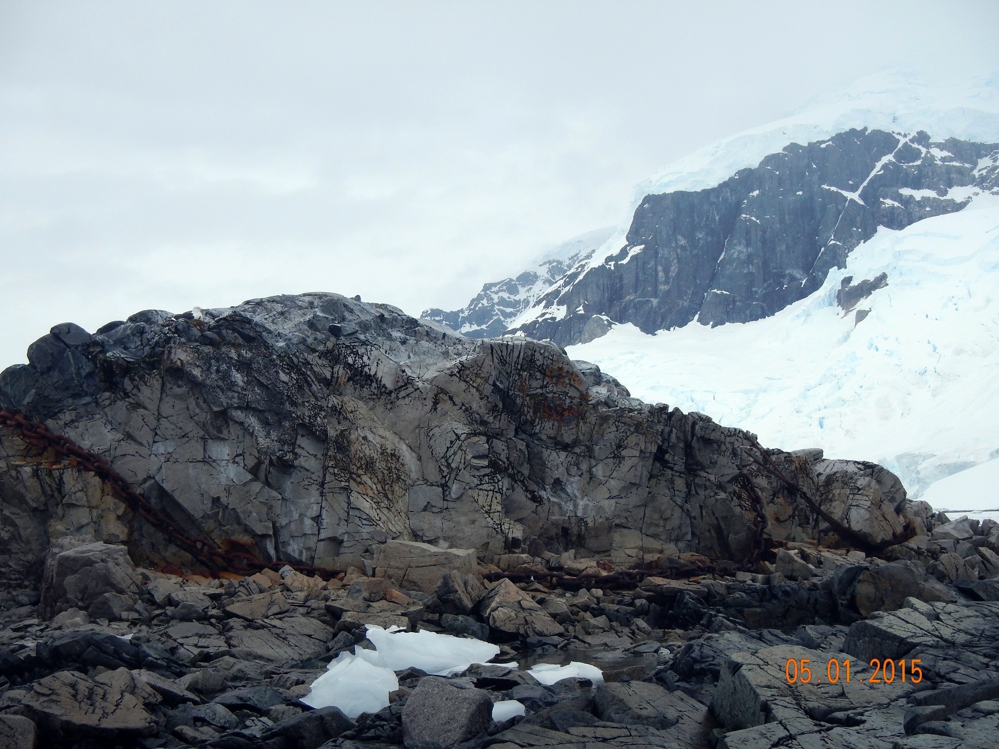 Continuation of the post “Argentina and Antarctica” - Argentina, National park, Travels, Antarctica, Tierra del Fuego, Wild animals, Reply to post, Longpost