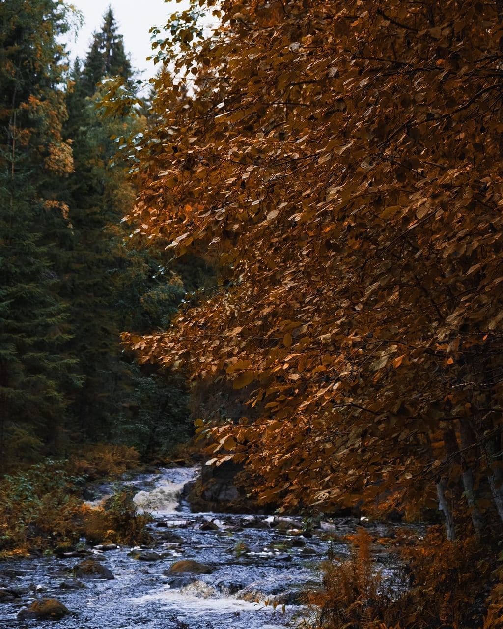 Beauty of Karelia - Карелия, North, Landscape, Travels, Ruskeala, Nature, Longpost, The photo