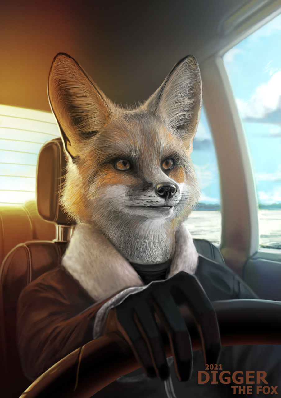 Fox Drive - My, Furry, Furry fox, Lepricon