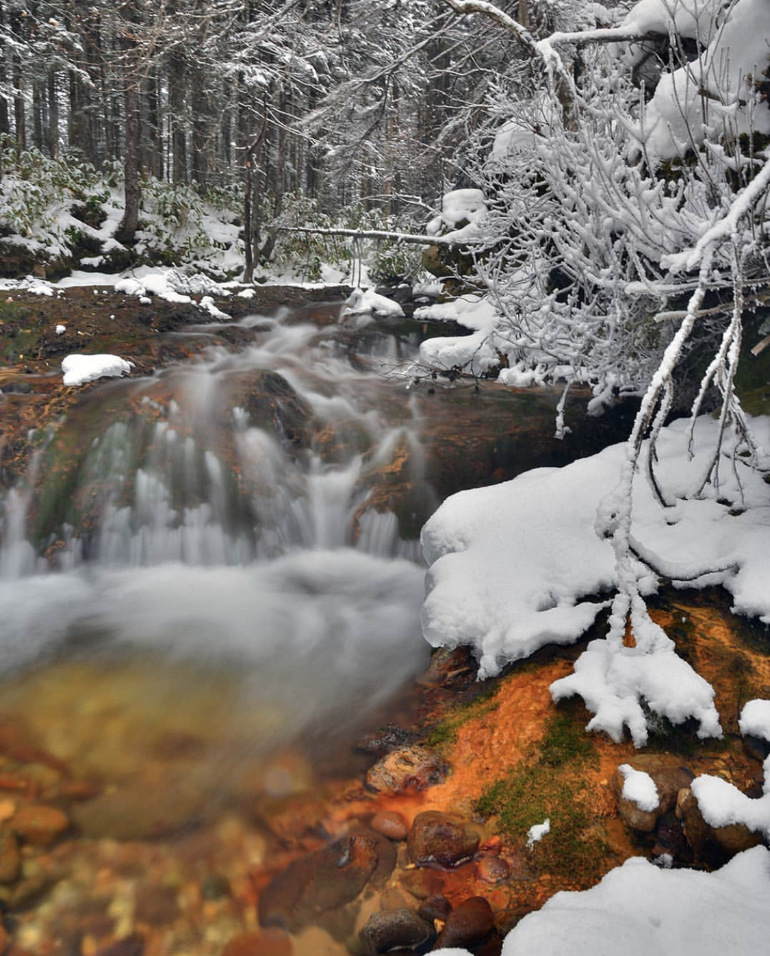 Kisly Stream, Kunashir Island, Kuril Islands - Kurile Islands, Kunashir, Thermal springs, Sakhalin Region, The photo, Travel across Russia, Longpost