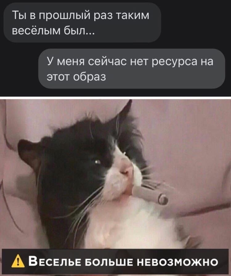 Low battery) - cat, Humor, Pre-holiday mood, Picture with text