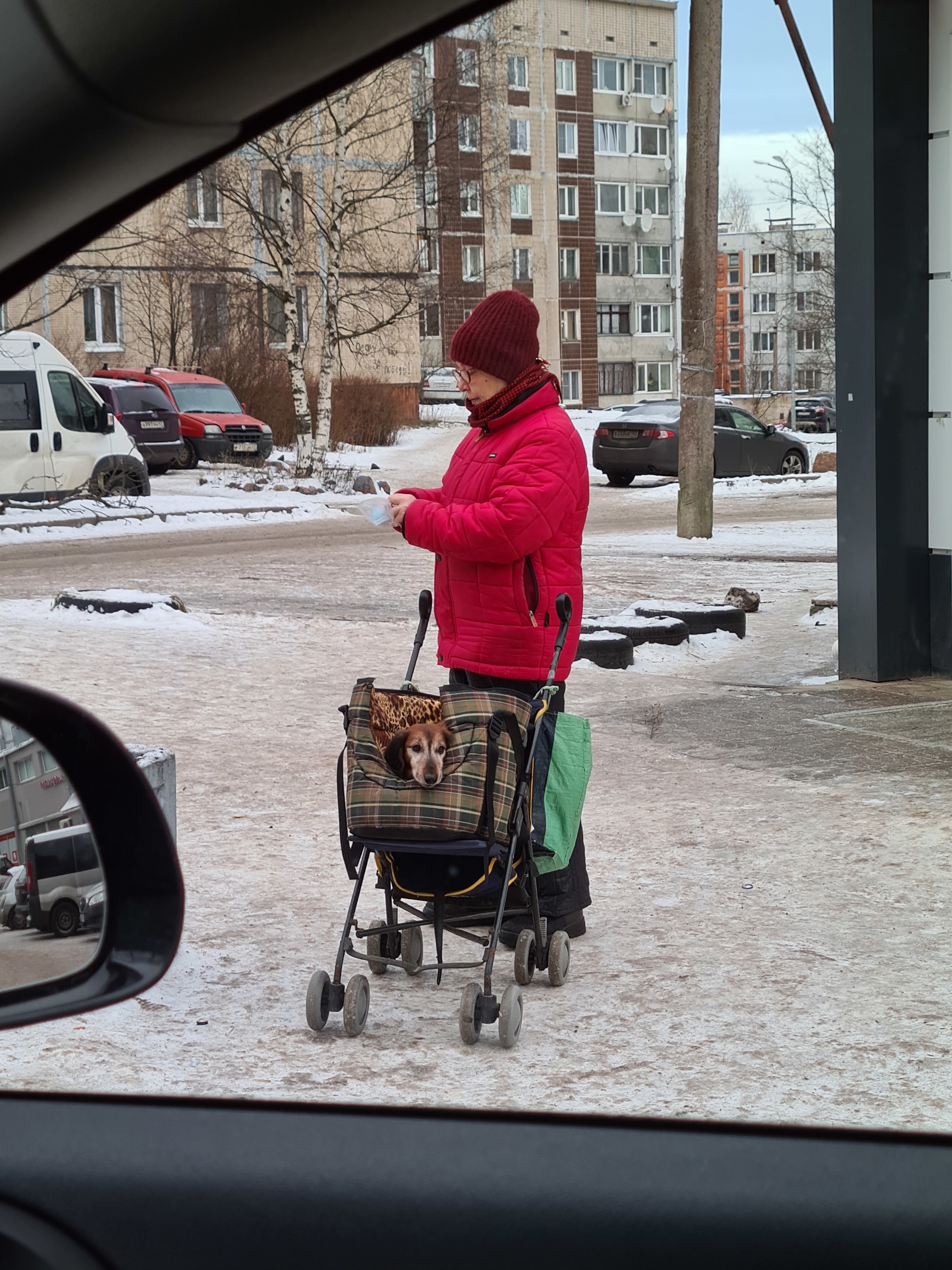 A little cuteness and care in your feed - My, Dog, Stroller, Cold, Kindness