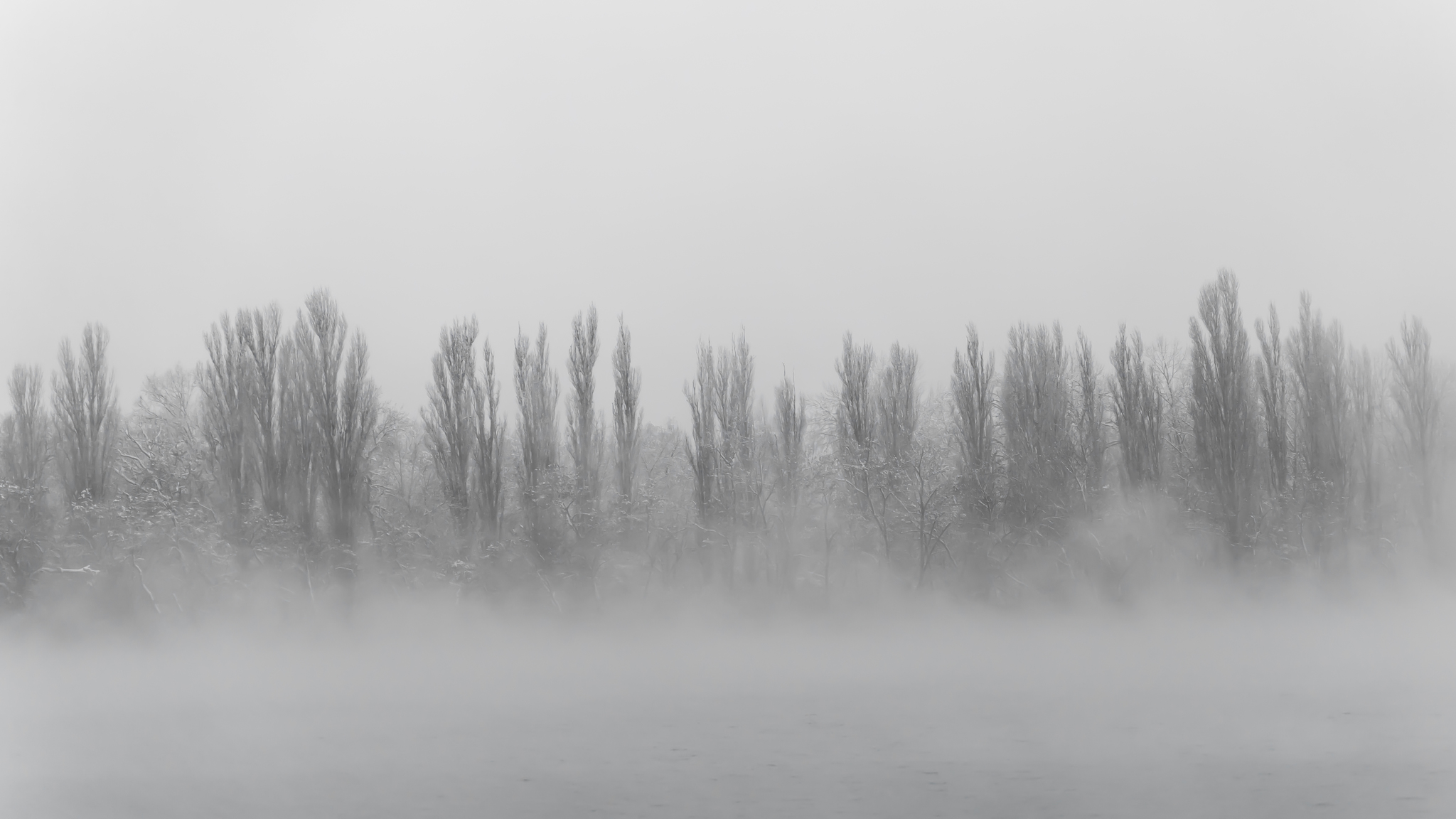 Calm - My, Krasnodar, Fog, River, Kuban