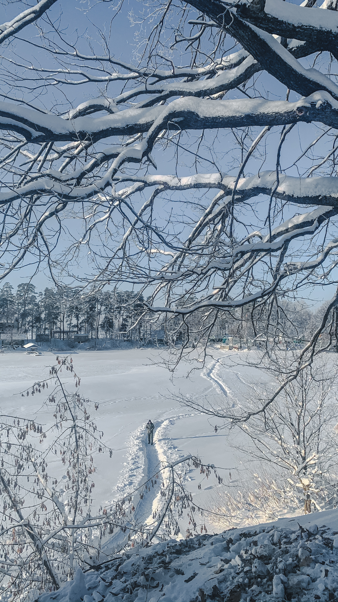 лебяжье озеро зимой казань