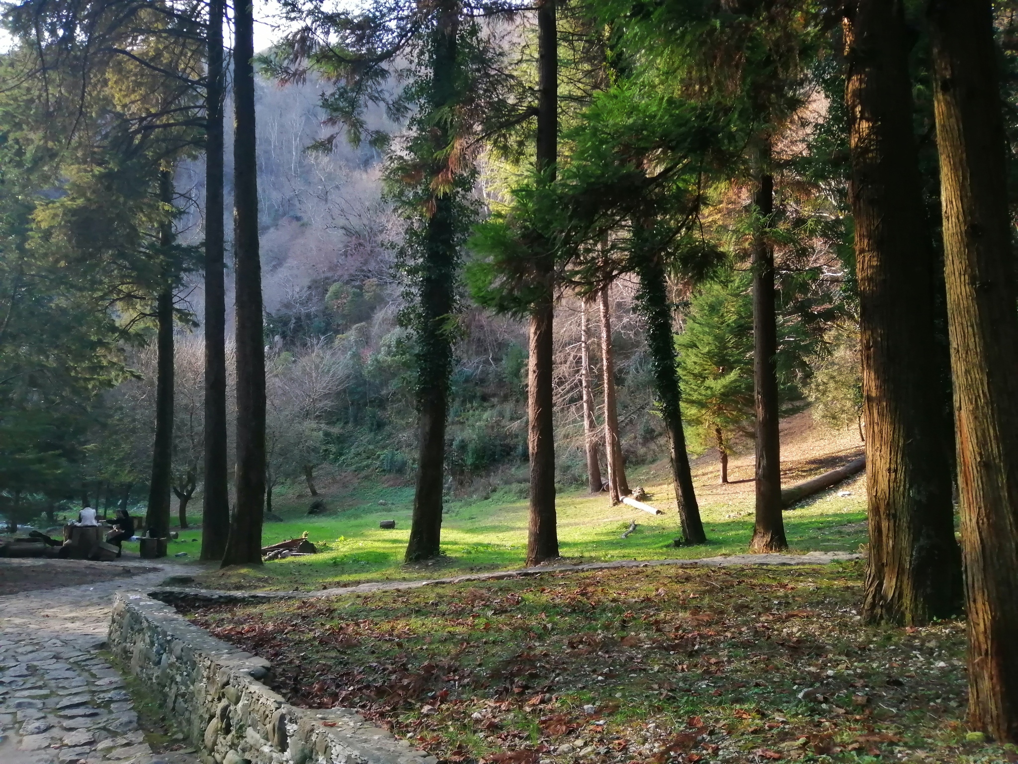 Road to the gorge, New Athos - My, No filters, Mobile photography, Abkhazia, The mountains, New Athos