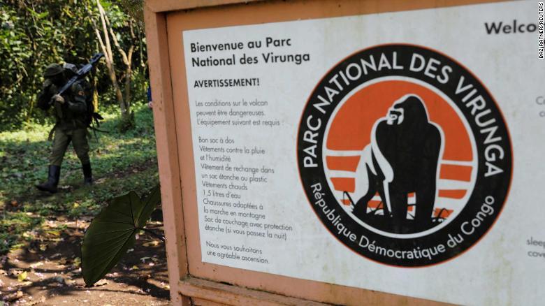 Ranger hunt in Virunga National Park in eastern Democratic Republic of Congo - Leonardo DiCaprio, Politics, Rangers, National park, Congo