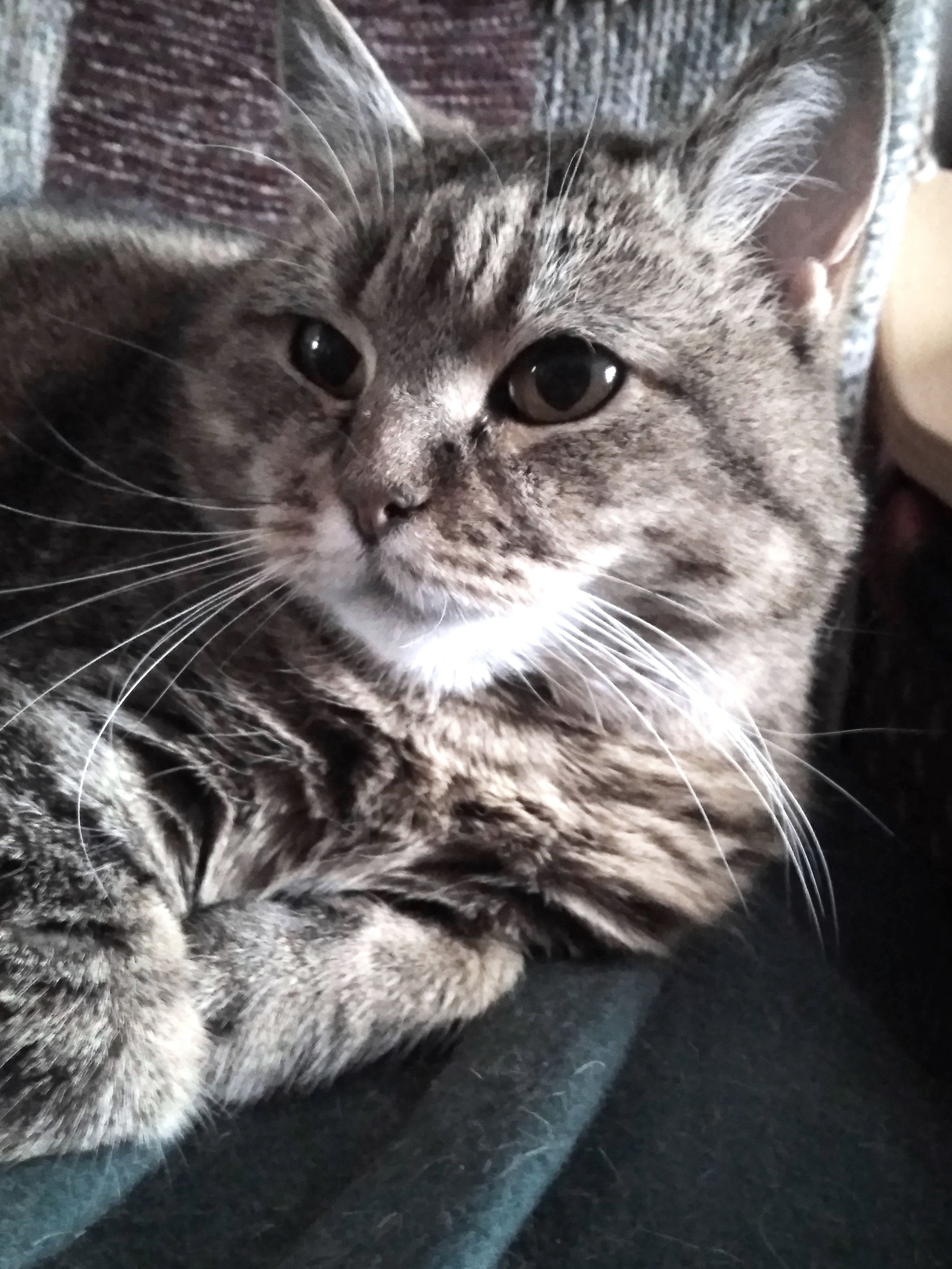 Senior | Пикабу