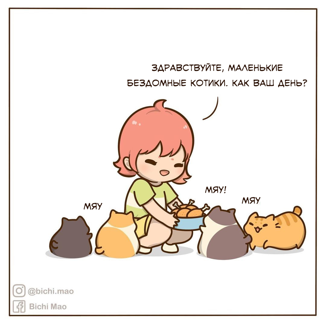 Черные коты | Пикабу