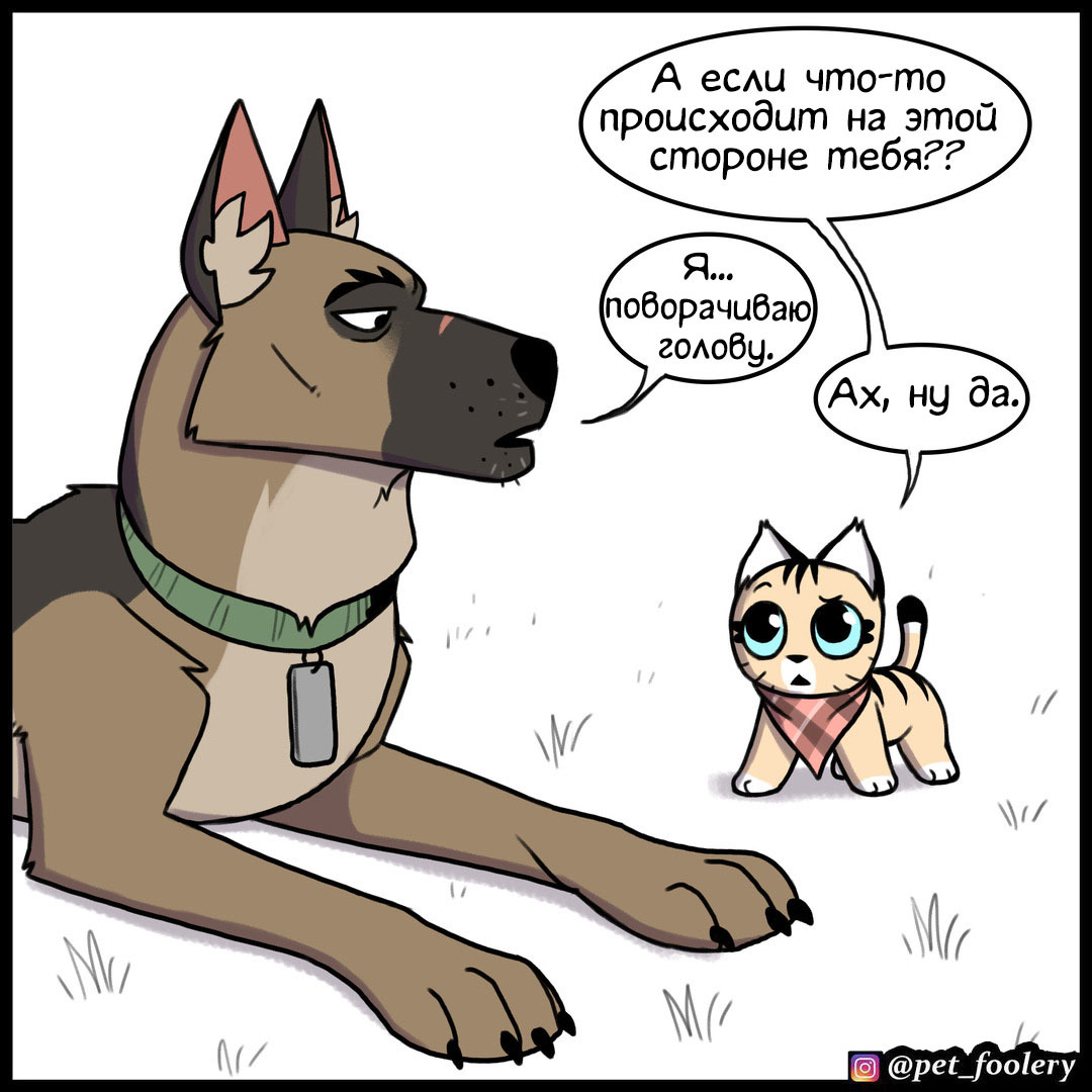 Blindness - Pet foolery, Brutus and Pixie, Comics, cat, Dog, Longpost