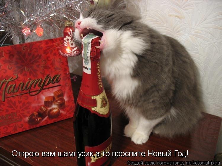 Happy upcoming holiday! - Holidays, New Year, Old New Year, Family Feast, Congratulation, Poems, cat, Picture with text, Longpost