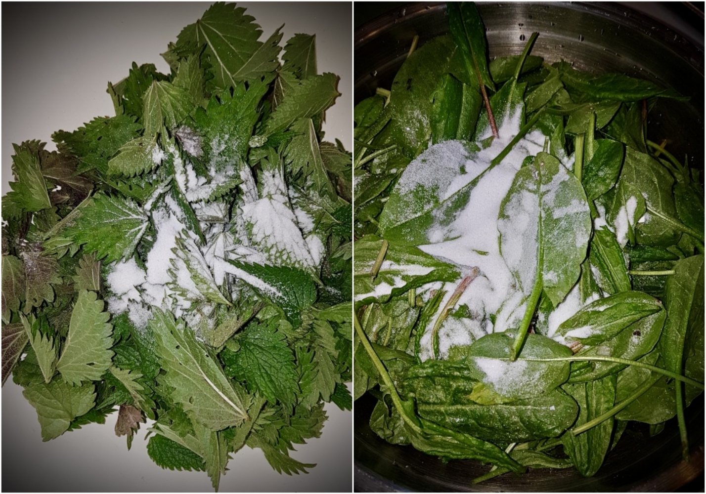 Cabbage soup... nettle, sorrel and beef ribs - My, Food, Recipe, Cabbage soup, Longpost, Cooking