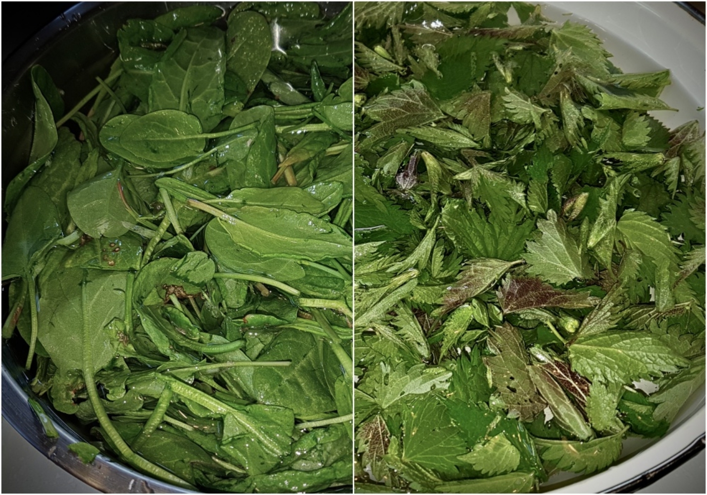 Cabbage soup... nettle, sorrel and beef ribs - My, Food, Recipe, Cabbage soup, Longpost, Cooking