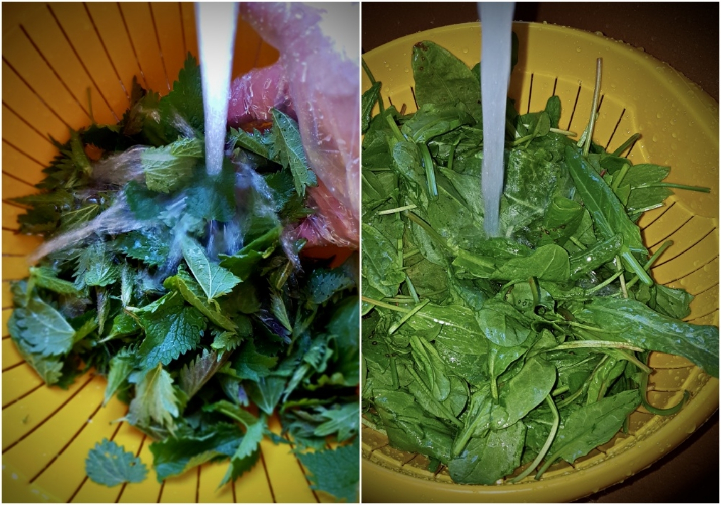 Cabbage soup... nettle, sorrel and beef ribs - My, Food, Recipe, Cabbage soup, Longpost, Cooking