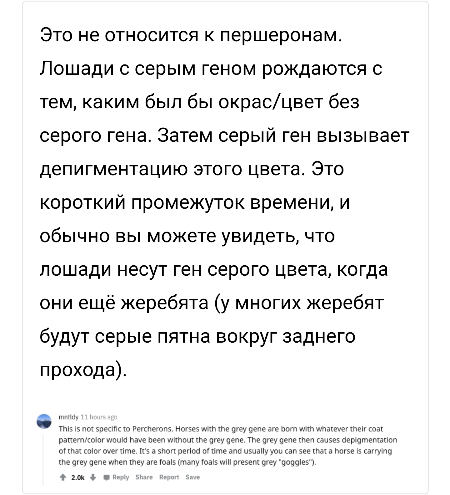 Это одна лошадь с разницей в 5 лет. Першероны рождаются черными и медленно  седеют | Пикабу