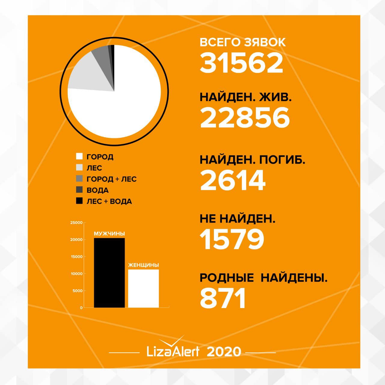 Statistics of the LisaAlert squad for 2020 - Lisa Alert, People search, Volunteers, Statistics