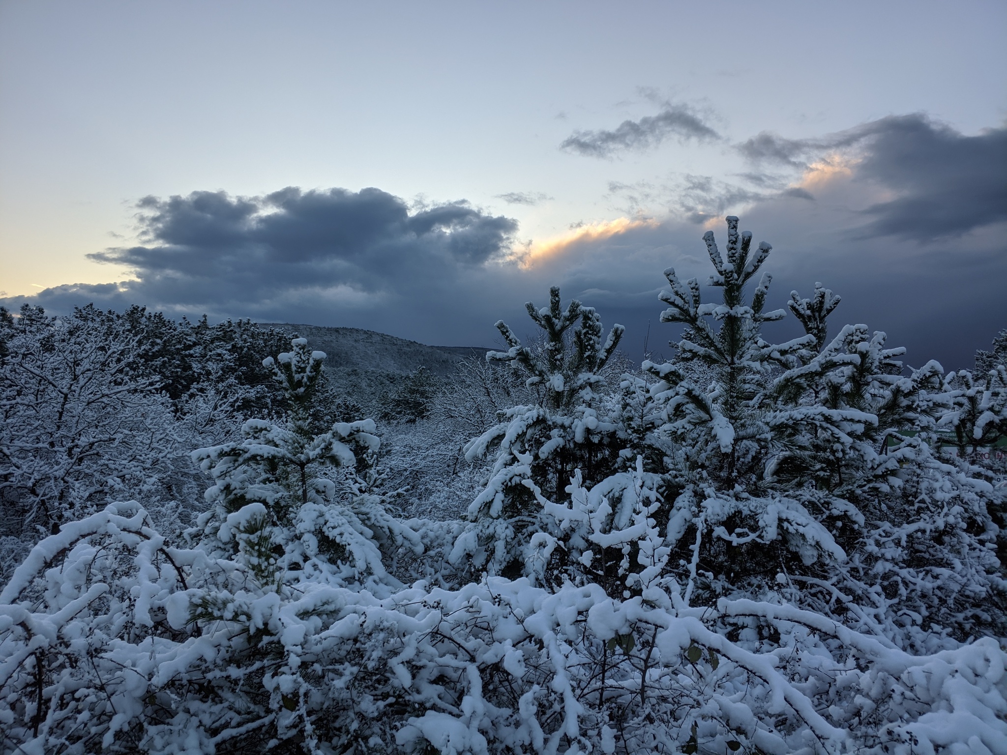 Snow fell in Crimea - My, Crimea, Winter, Snow