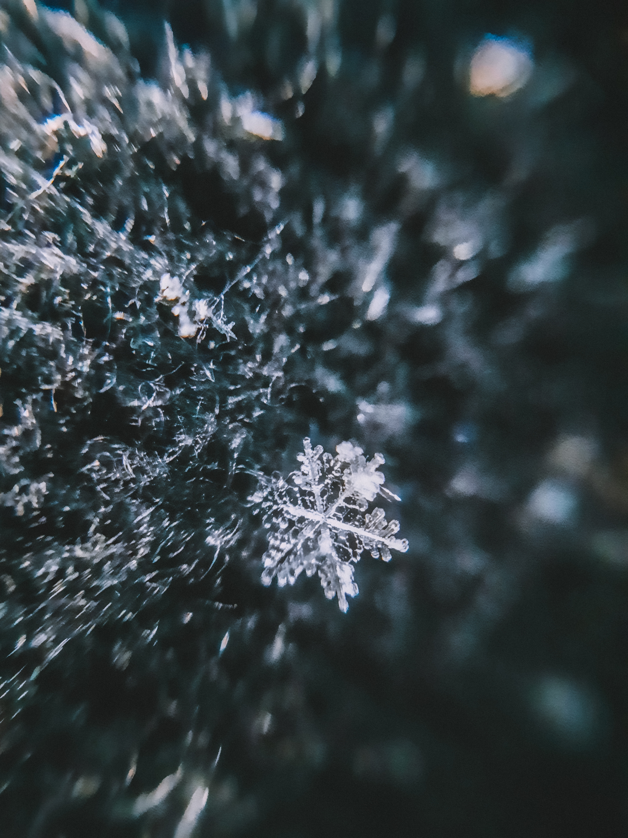 Macro photographs of snowflakes - My, Macro photography, The photo, Beginning photographer, Mobile photography, Photographer, Snowflake, Winter, Cold, Nature, freezing, Longpost