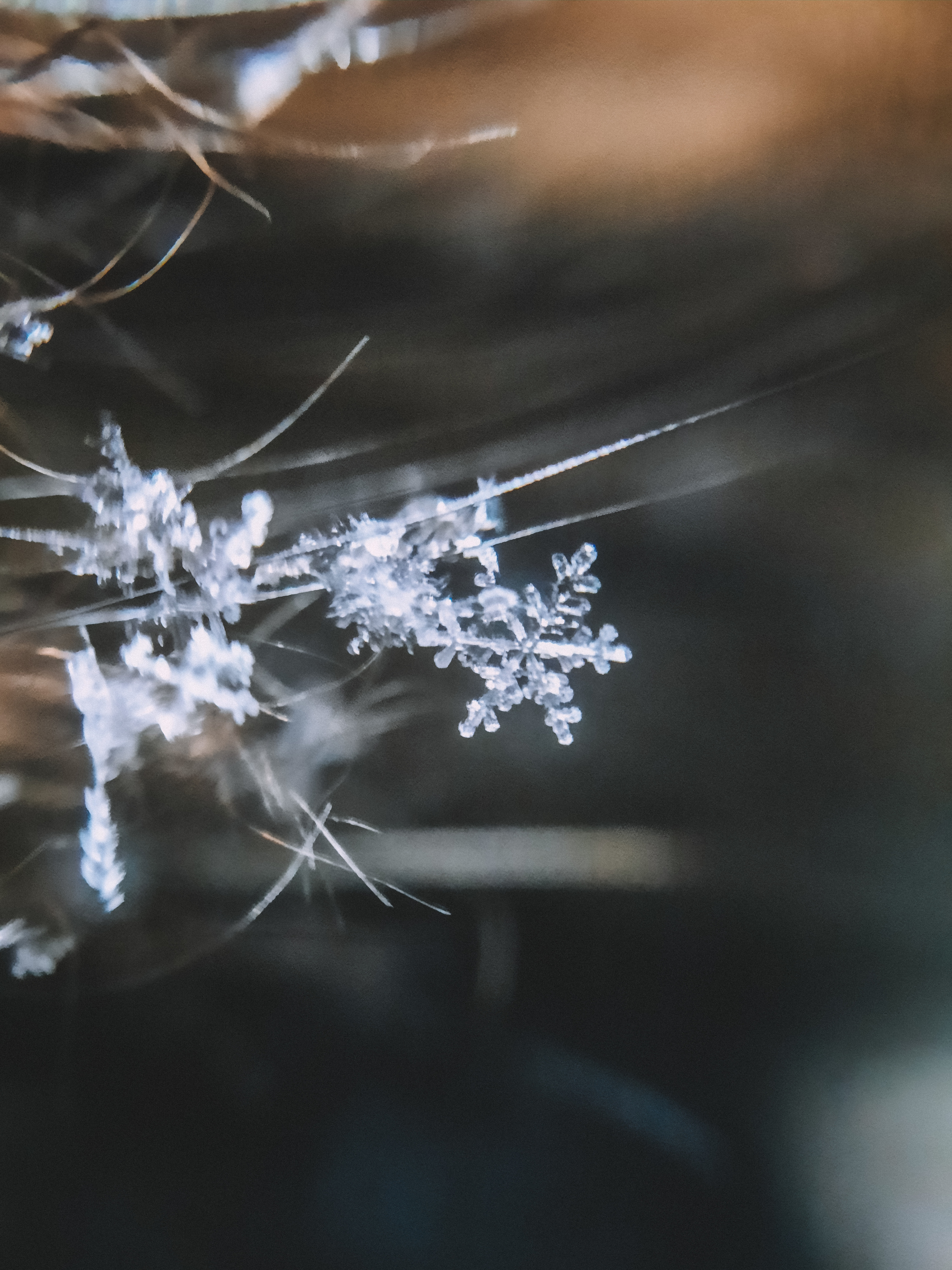 Macro photographs of snowflakes - My, Macro photography, The photo, Beginning photographer, Mobile photography, Photographer, Snowflake, Winter, Cold, Nature, freezing, Longpost