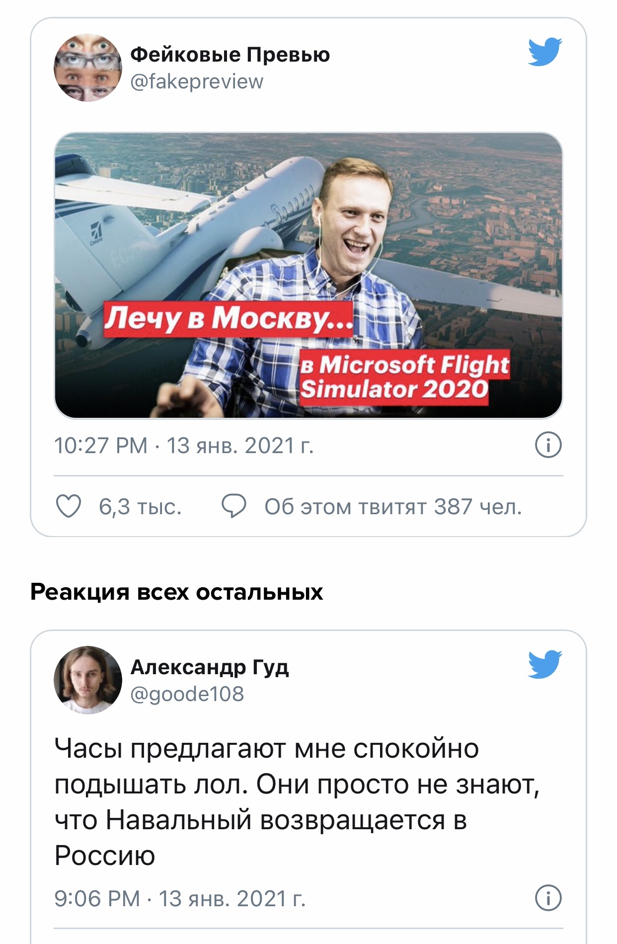 He is coming back - Alexey Navalny, Politics, Opposition, Airline victory, Humor, Memes, Longpost