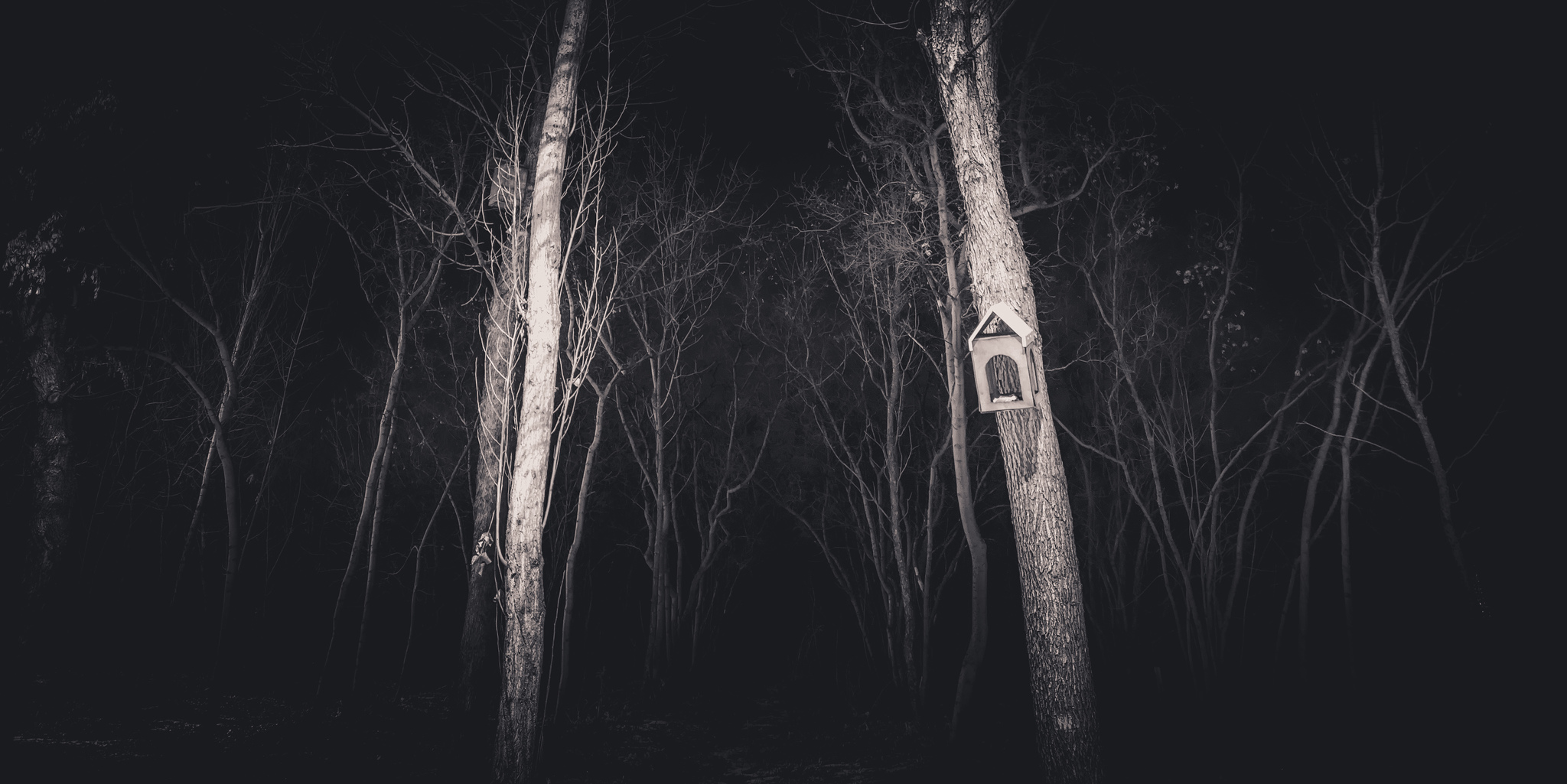 It's creepy in the parks at night - My, The photo, Mobile photography, Night, The park, Kripota