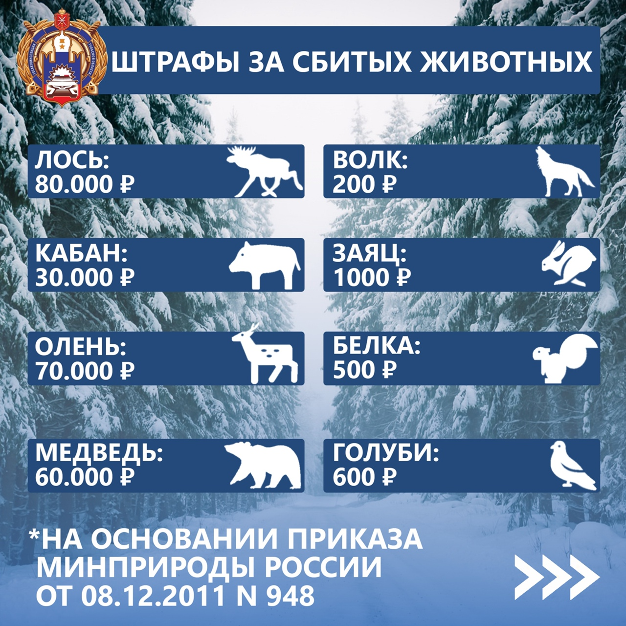 A bear costs less to shoot down than a moose or deer... - Wild animals, The Bears, Shot down, Traffic fines, Road accident, OSAGO, Casco, Negative, Road safety