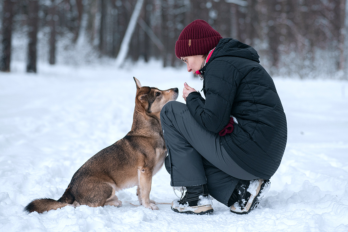 Why the hell do I need it - My, Dog, Mestizo, Girls, Winter, Behind the scenes, Humor, Longpost