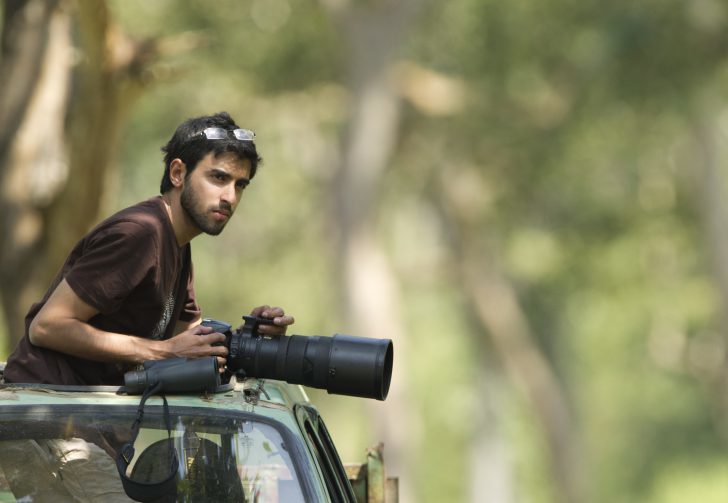 The wild beauty of big cats photographed by Shaaz Jung - Tiger, a lion, Leopard, Panther, Big cats, Longpost, Photographer, The photo, Bengal tiger