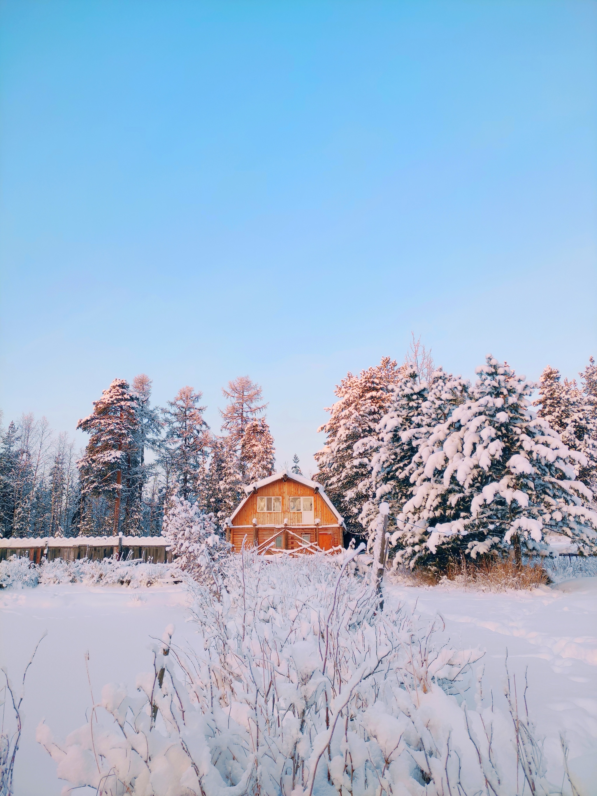 Winter's Tale - My, Komi, Winter, Forest, Sunset, Longpost, The photo