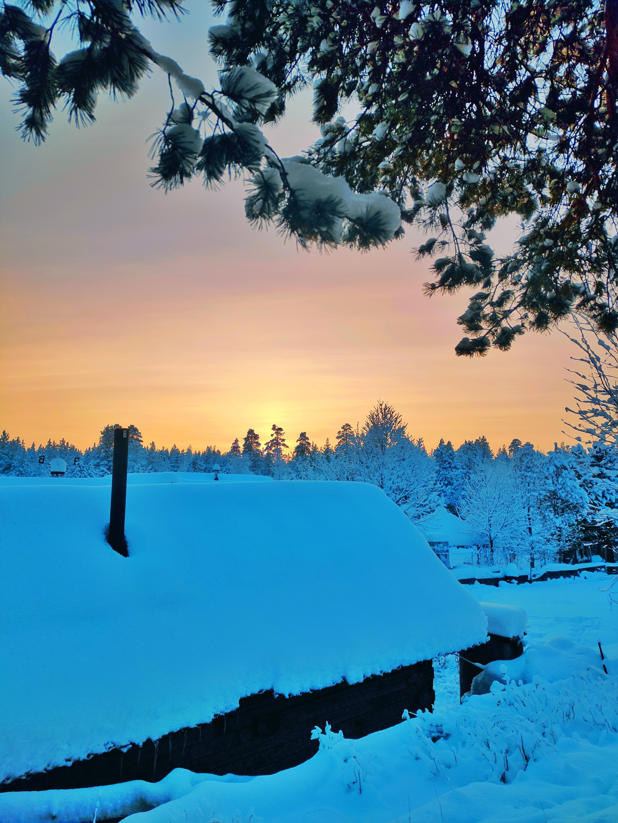 Winter's Tale - My, Komi, Winter, Forest, Sunset, Longpost, The photo