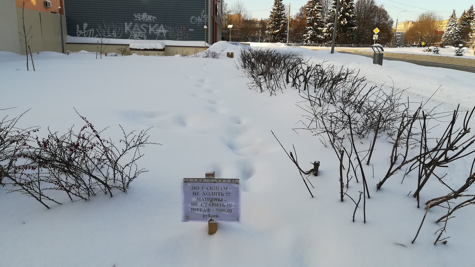 Я - не на газоне! | Пикабу