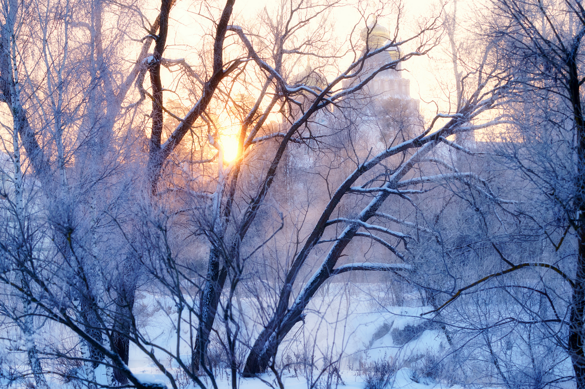 Frosty Istra - My, The photo, Nikon, Sigma, Winter, freezing, Istra River, New Jerusalem Monastery, Longpost