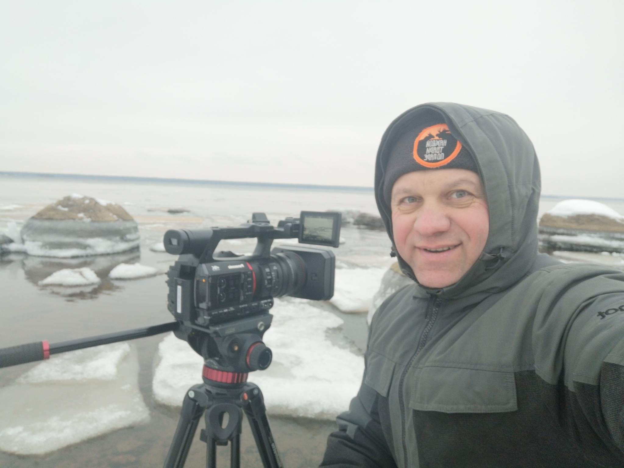 Whooper swans remained to spend the winter in the Leningrad region - My, Swans, Swan-Whooper, Birds, Bird watching, Leningrad region, The Gulf of Finland, Each creature has a pair, Longpost