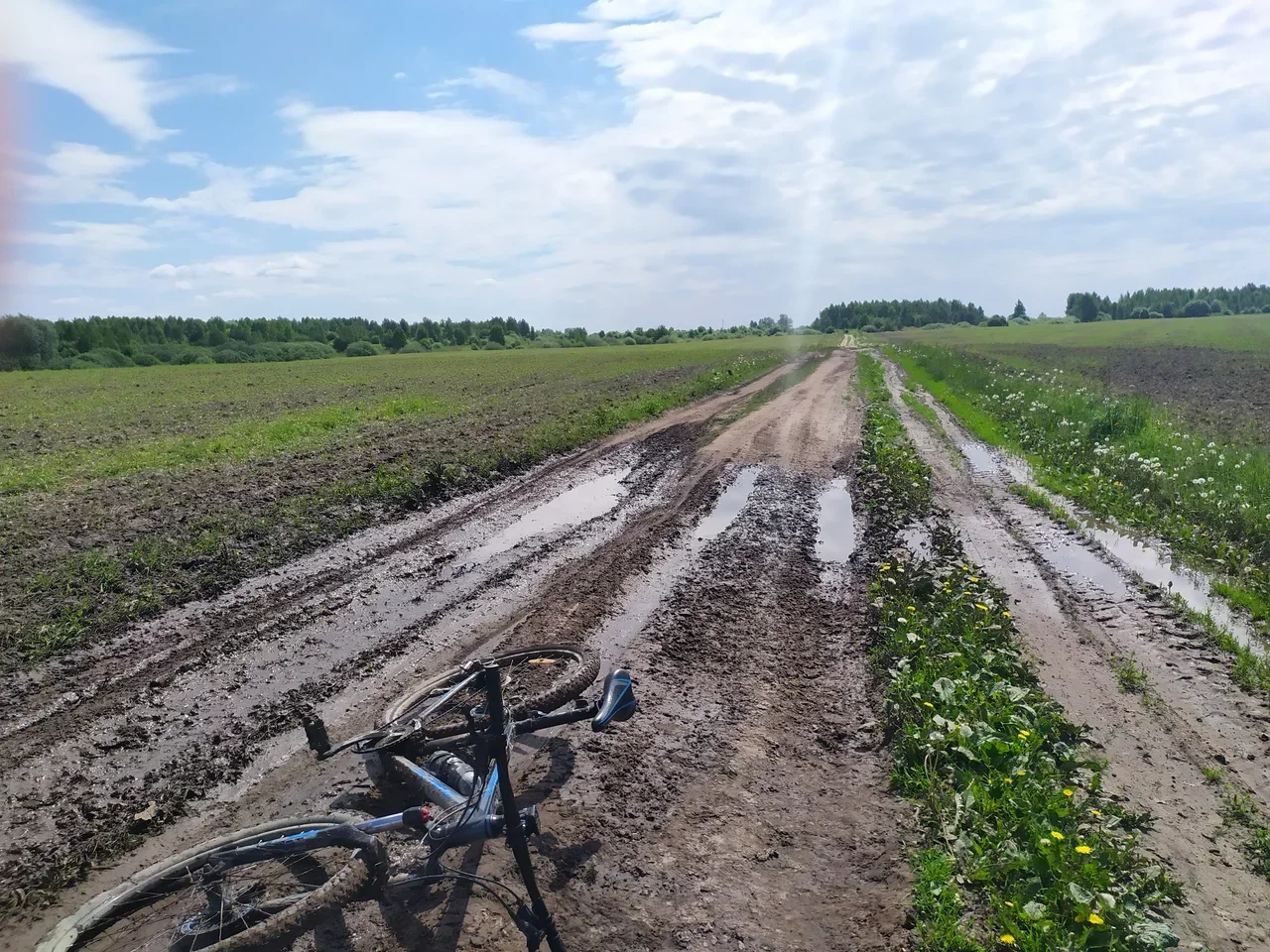 My results of the cycling season 2020 - My, A bike, Cyclist, Cycling, Bike ride, Sport, Travels, Nature, The nature of Russia, , Purchase, Russia, Bike trip, Murom, Vladimir region, Oka, Forest, Field, Longpost