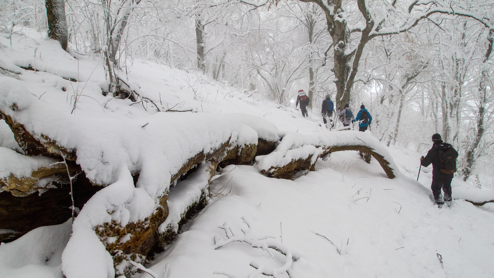 When a man really wants to go hiking - My, Hike, Men, Women, Changed my mind