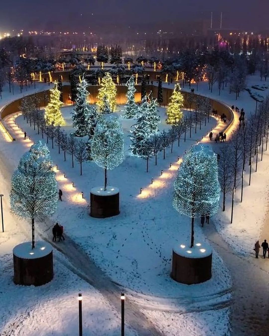 Парк Галицкого В Краснодаре Фото Сверху
