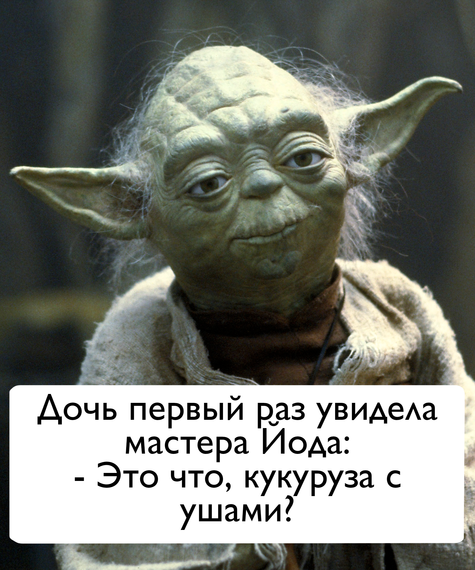 Мастер Йода кукуруза - Моё, Юмор, Дети, Детство, Star Wars, Йода, Перлы, Картинки, Картинка с текстом, Фильмы