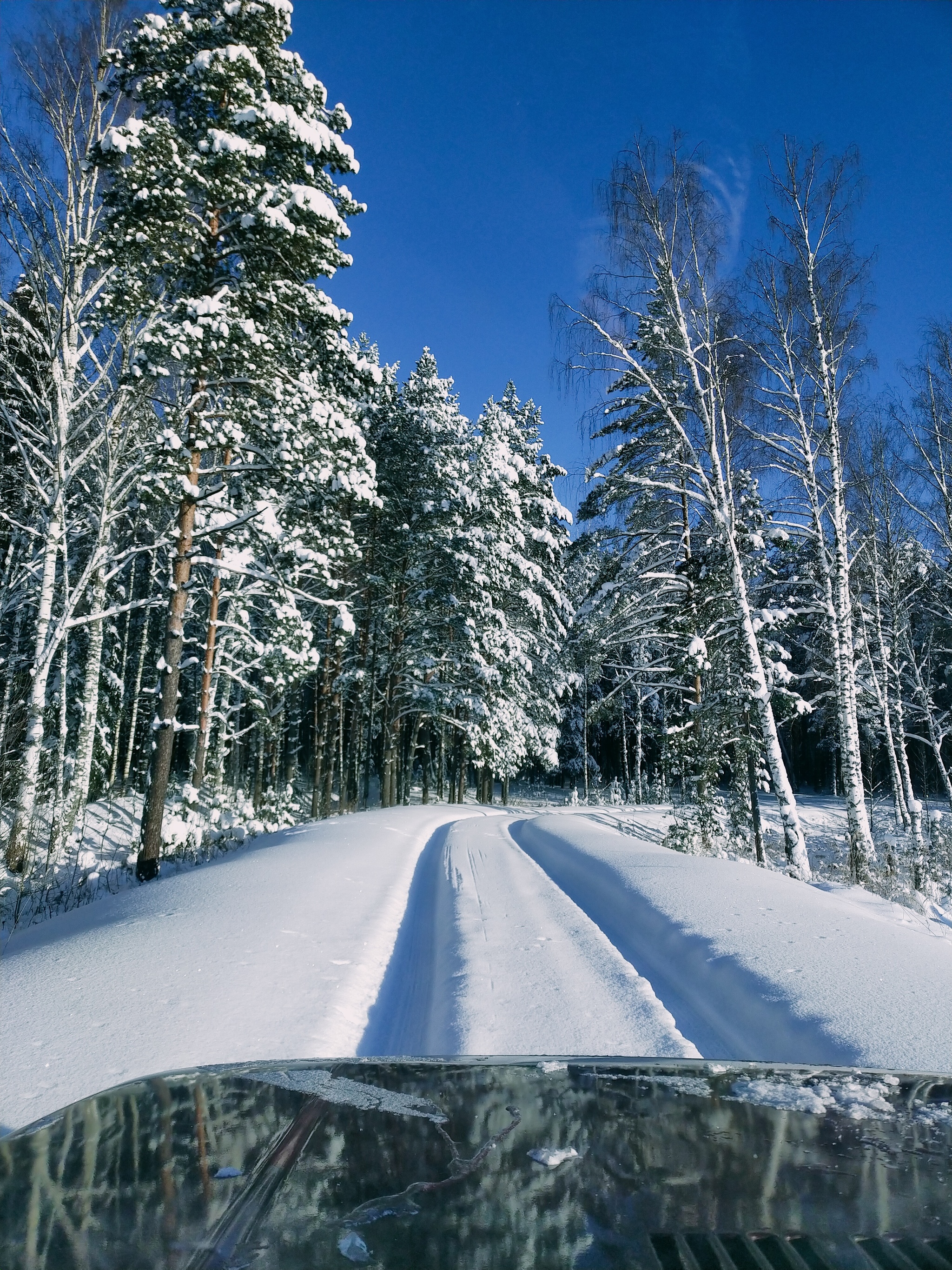 When everything came together - My, Nature, Winter, Moscow region, Mobile photography, Longpost