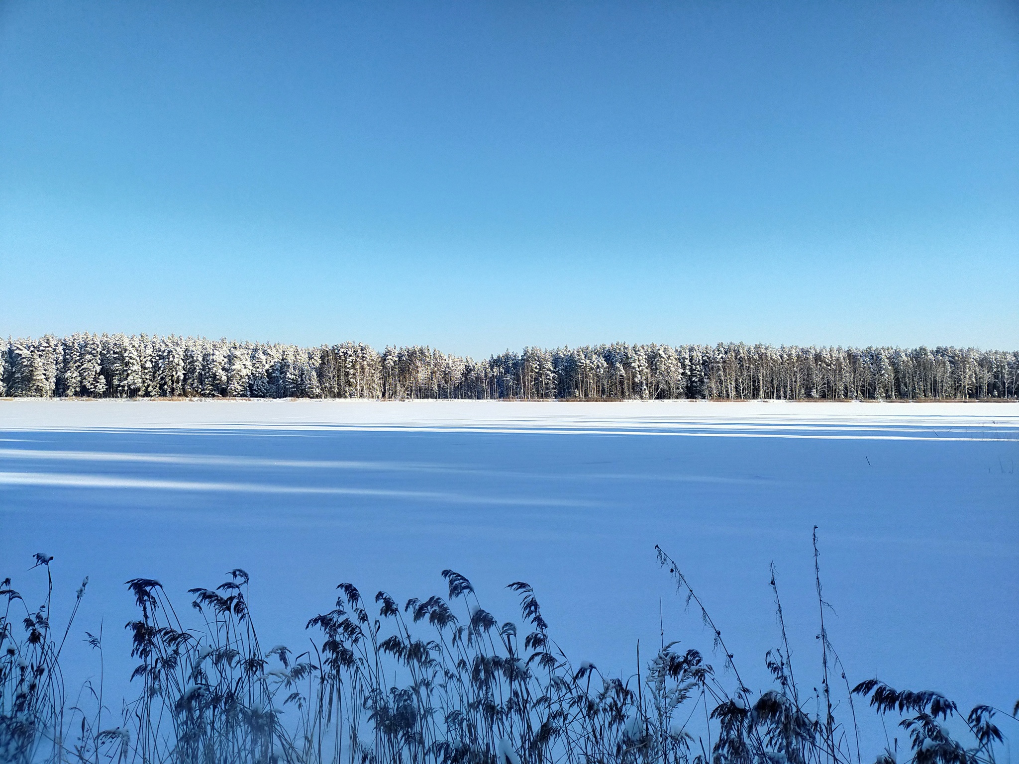 When everything came together - My, Nature, Winter, Moscow region, Mobile photography, Longpost