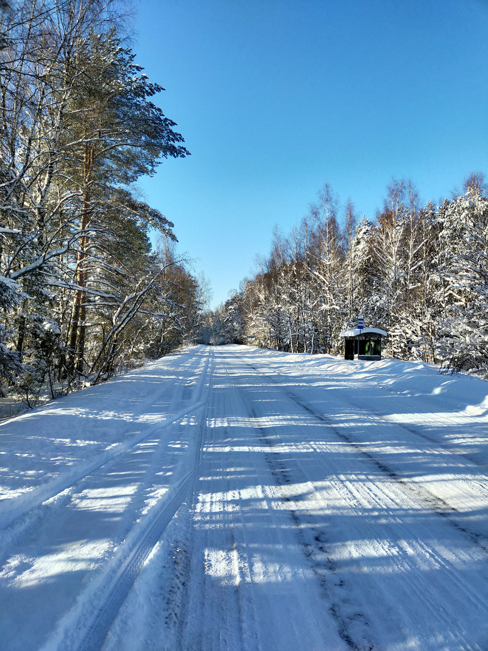 When everything came together - My, Nature, Winter, Moscow region, Mobile photography, Longpost