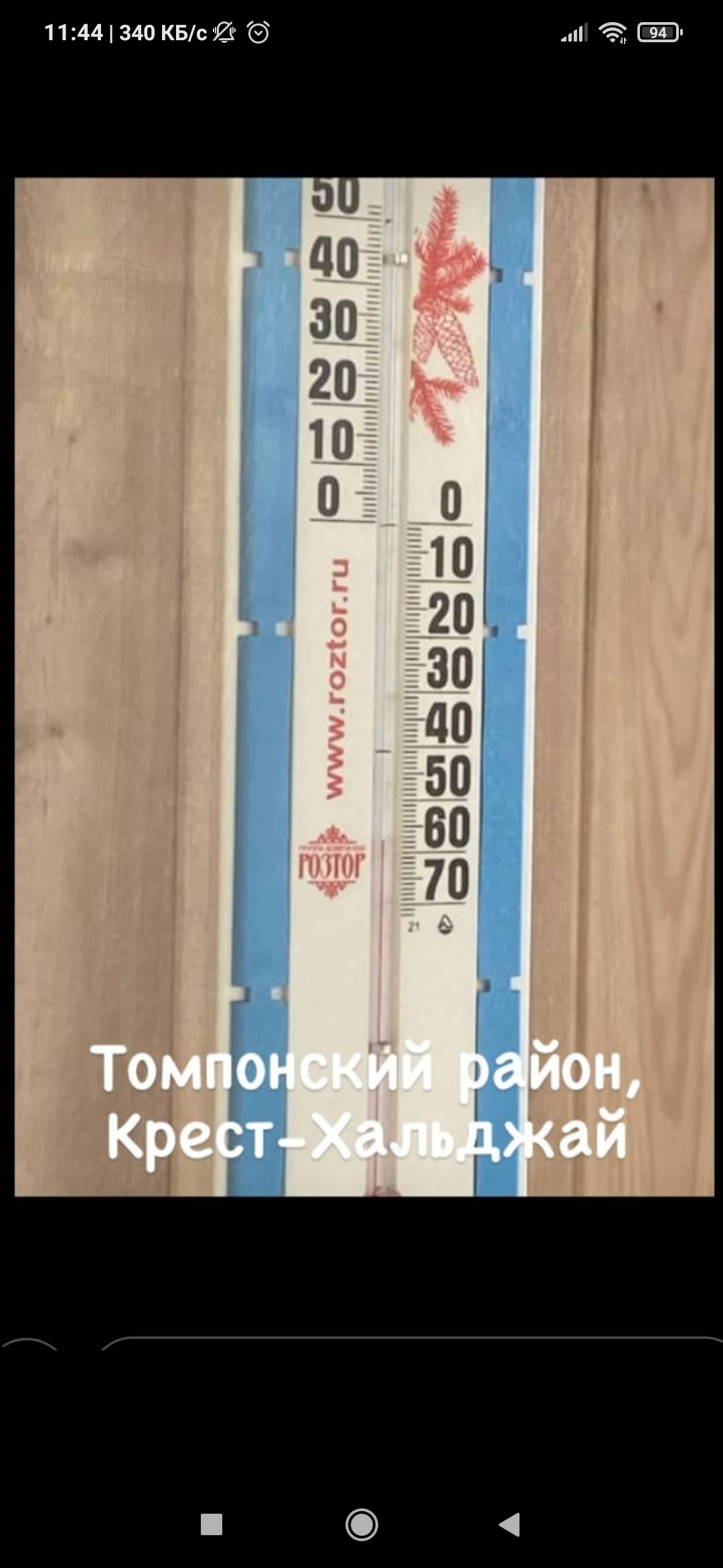 In a healthy body healthy mind. Epiphany frosts - Yakutia, Cold, Thermometer, Dog, Walruses, Video, Longpost, Yakutsk