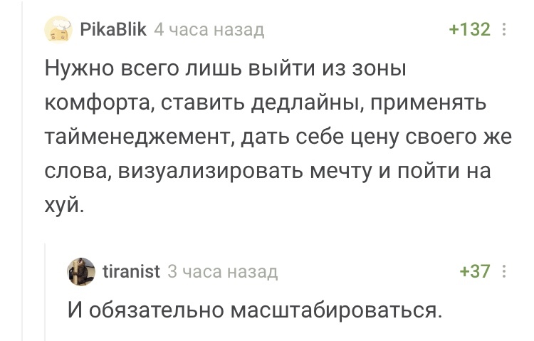 Совет дня от лучших коучей пикабу - Коучинг, Бизнес-План, Комментарии на Пикабу, Скриншот, Юмор, Мат