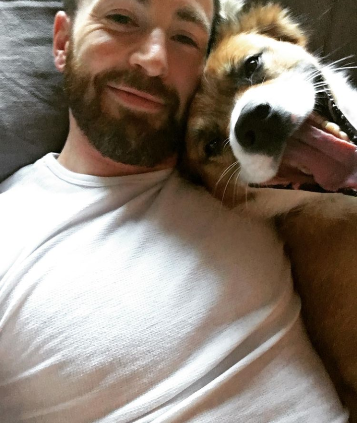 A little cuteness. Chris Evans and his dog) - Chris Evans, Dog, Pets, Longpost, Milota