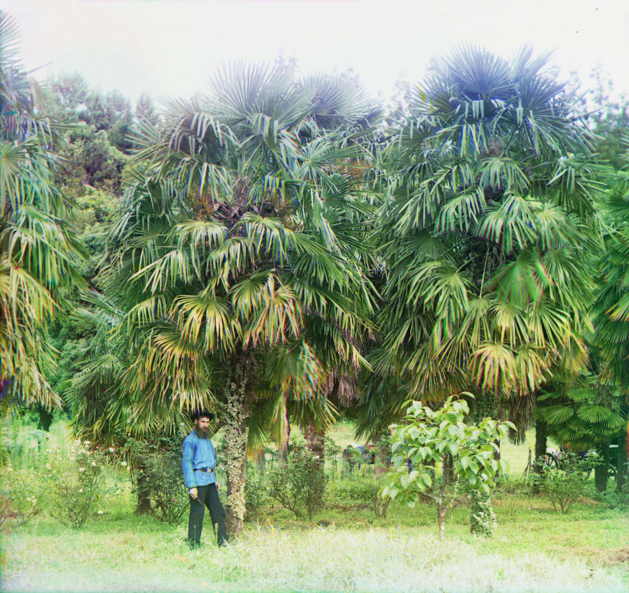 The beginning of the 20th century through the lens of Sergei Mikhailovich Prokudin-Gorsky (restoration) part 2 - The photo, 20th century, Prokudin-Gorsky, Longpost