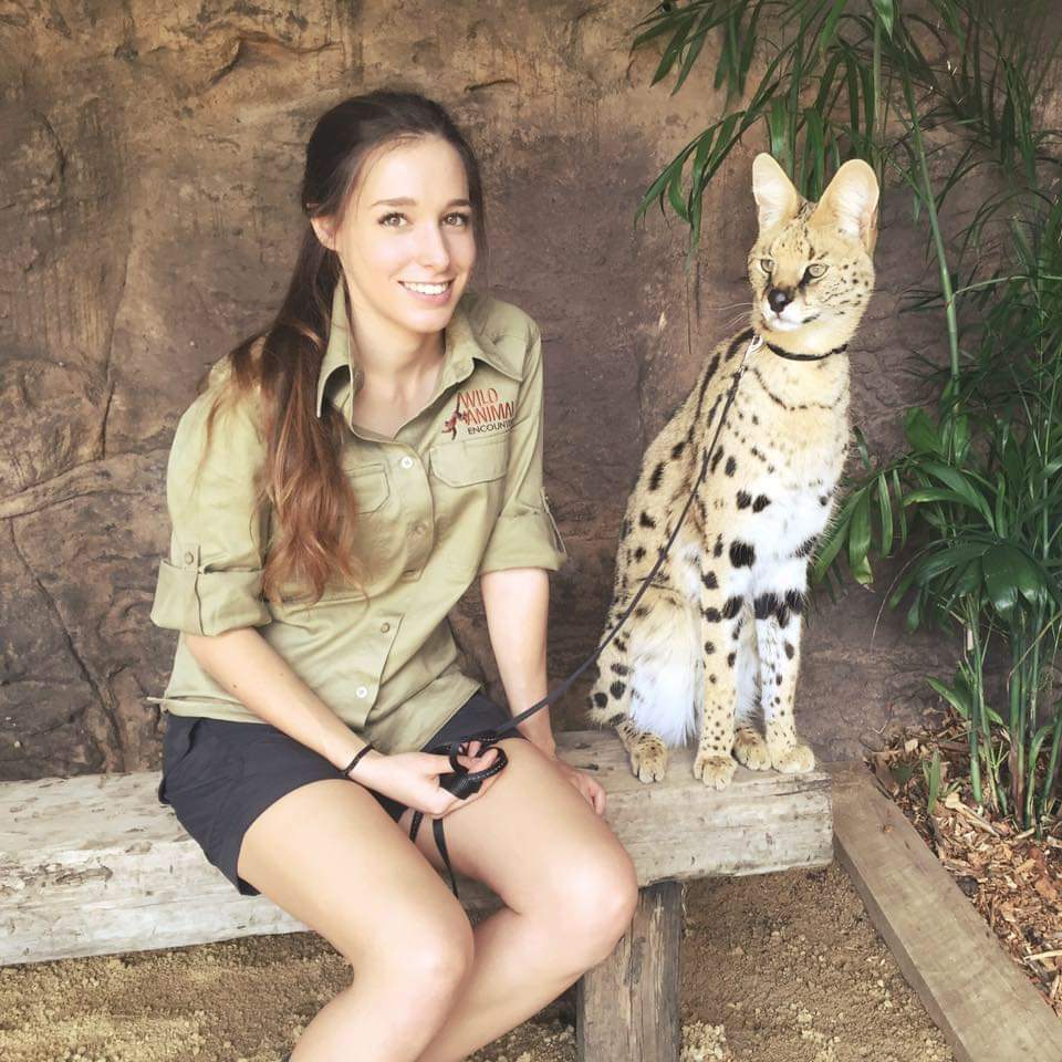 Girl with cats) - Small cats, Cheetah, Caracal, Serval, Girls, Milota, Reserves and sanctuaries, Australia, Longpost, Wild cat center