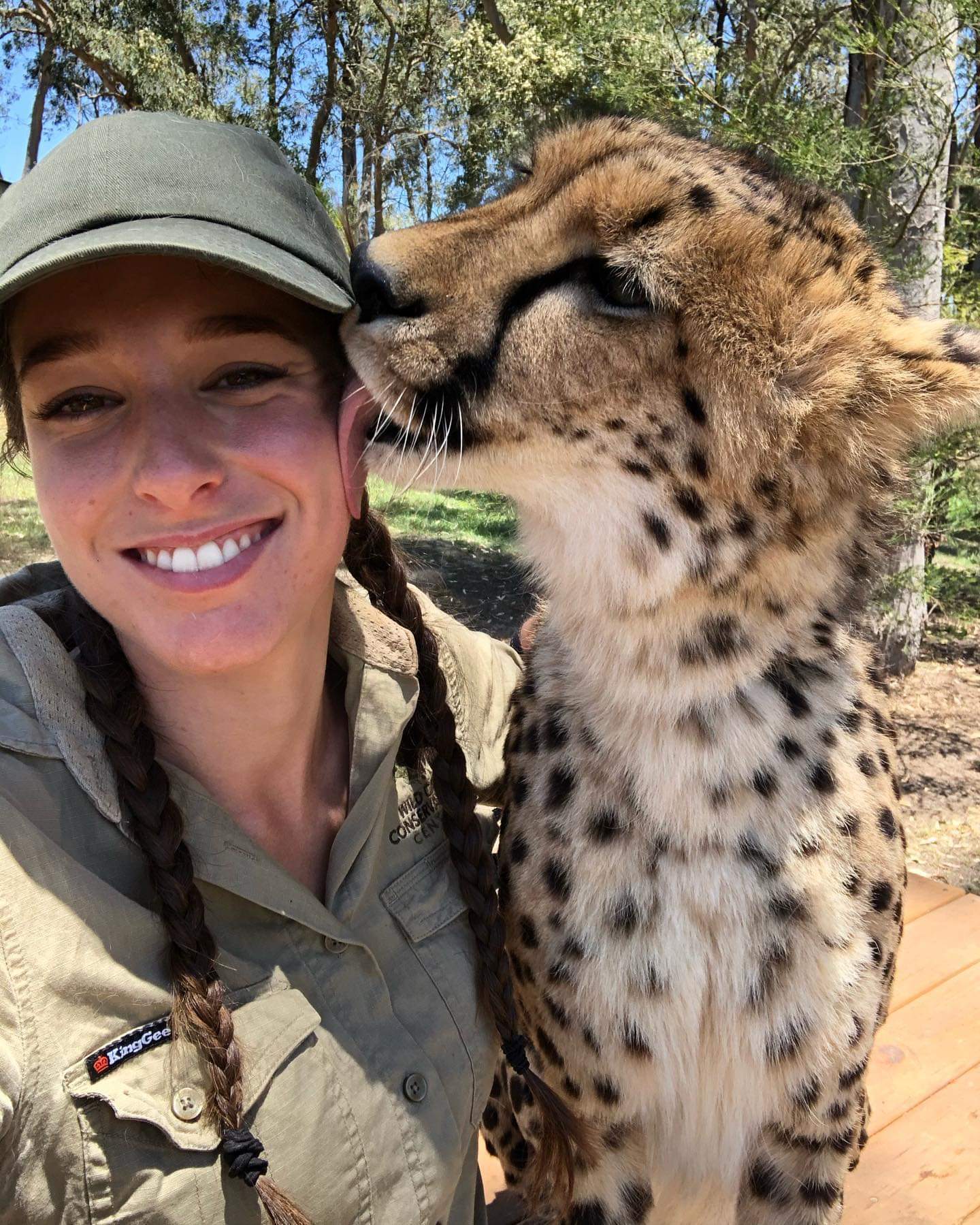 Girl with cats) - Small cats, Cheetah, Caracal, Serval, Girls, Milota, Reserves and sanctuaries, Australia, Longpost, Wild cat center